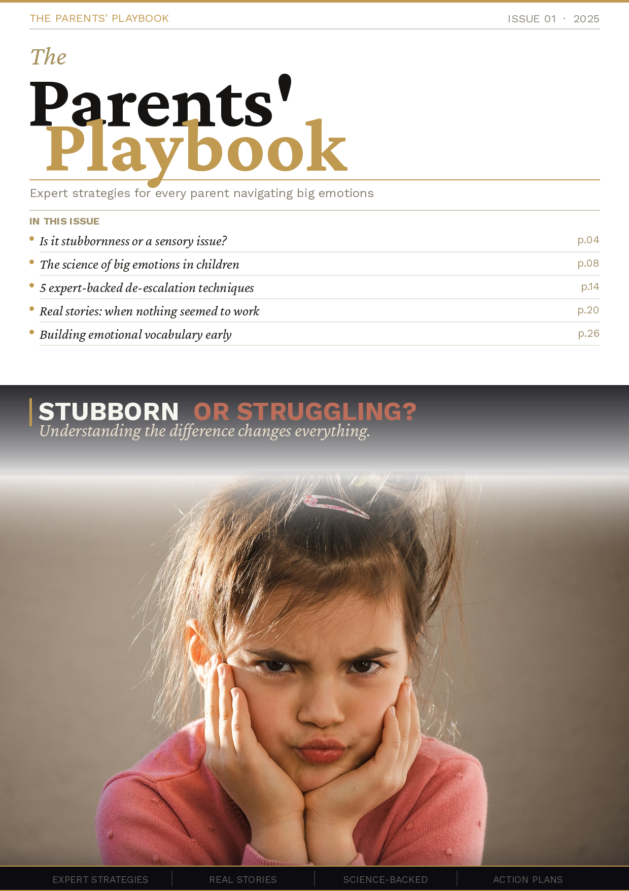 Stubborn or Struggling? — The Parents' Playbook